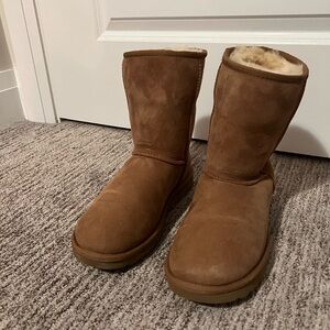 Classic short chestnut uggs